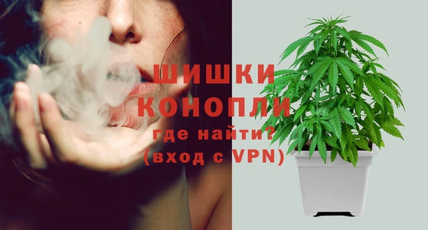 прущие грибы Снежногорск