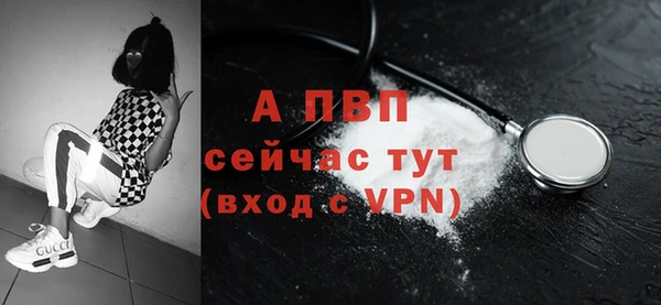 ПСИЛОЦИБИНОВЫЕ ГРИБЫ Слюдянка