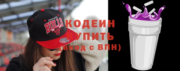 прущие грибы Снежногорск
