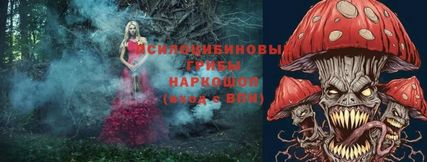 ПСИЛОЦИБИНОВЫЕ ГРИБЫ Слюдянка