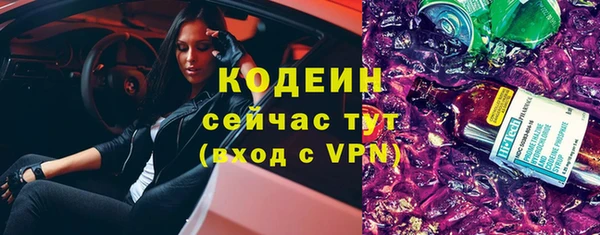 прущие грибы Снежногорск