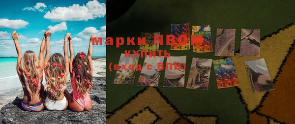 ПСИЛОЦИБИНОВЫЕ ГРИБЫ Слюдянка