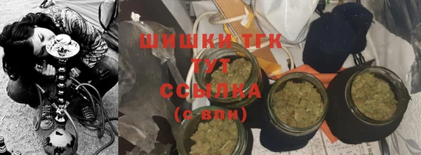 прущие грибы Снежногорск