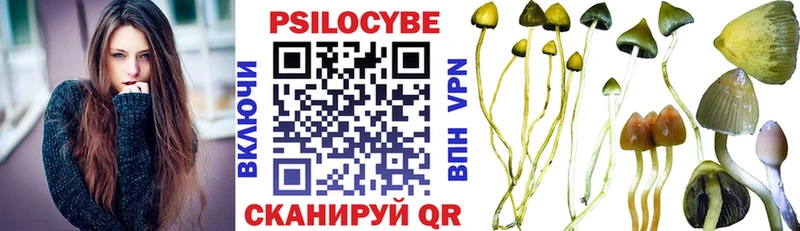 Псилоцибиновые грибы ЛСД  Купить где  Бор 